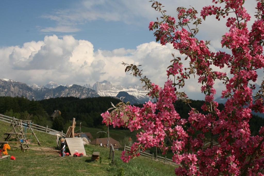 Hotel am Hang Oberbozen Buitenkant foto